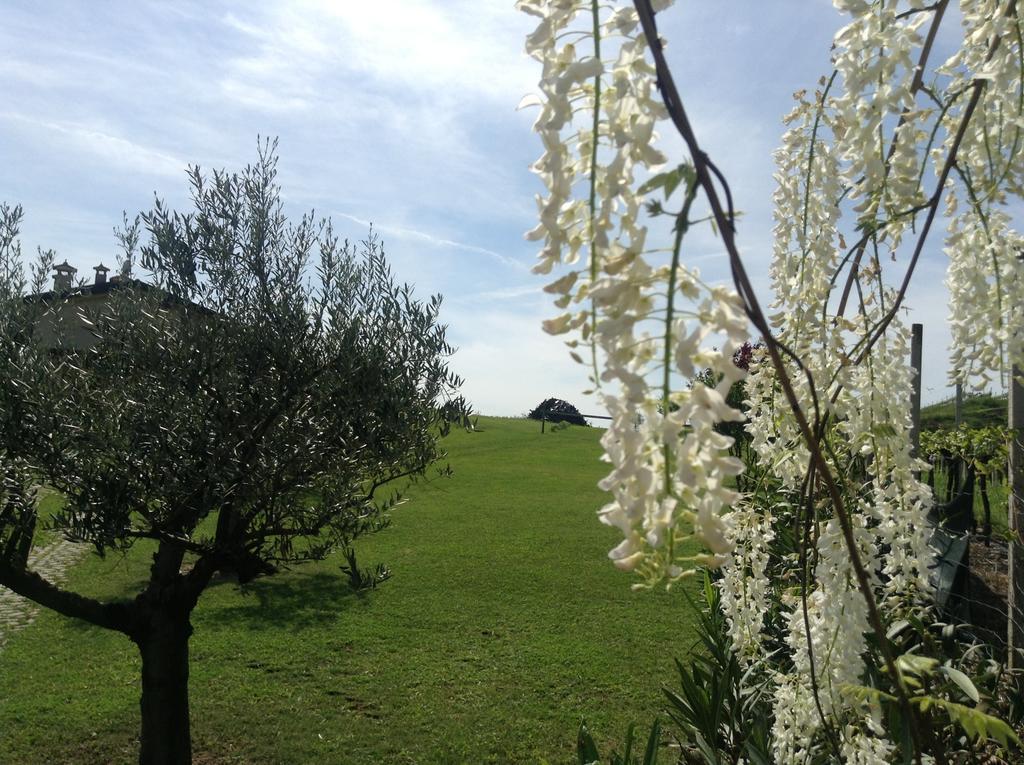B&B Il Filo' Valeggio sul Mincio Exterior foto
